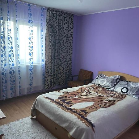 Ferienwohnung Sofia Rezidence Dragasani Exterior foto